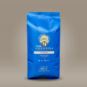 Villa Valentina Geisha